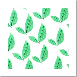 Leaf green Posters and Art